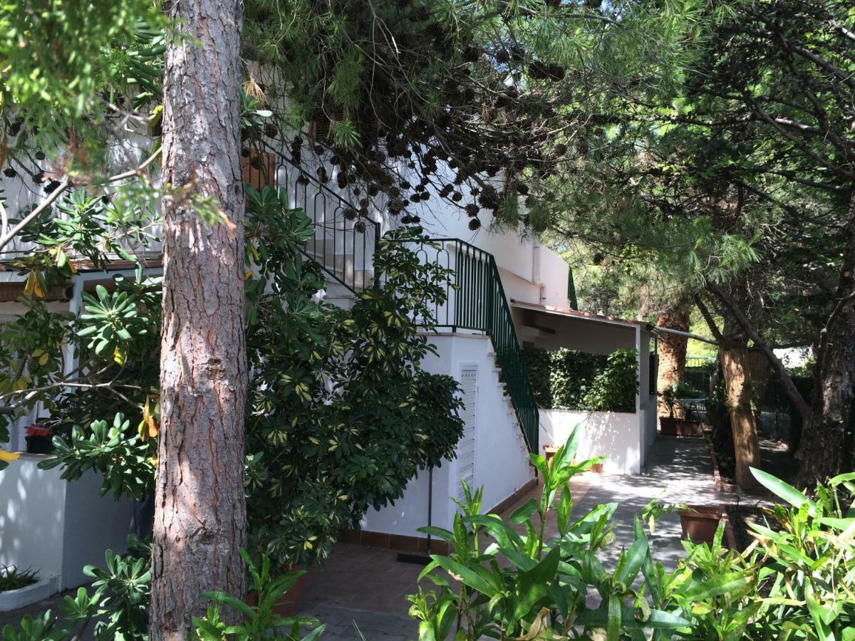 Villa Irene Vieste Buitenkant foto